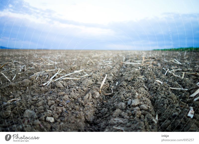 freshly ploughed Work and employment Field Working in the fields Agriculture Forestry Plowed Environment Landscape Elements Earth Air Sky Clouds Horizon Spring