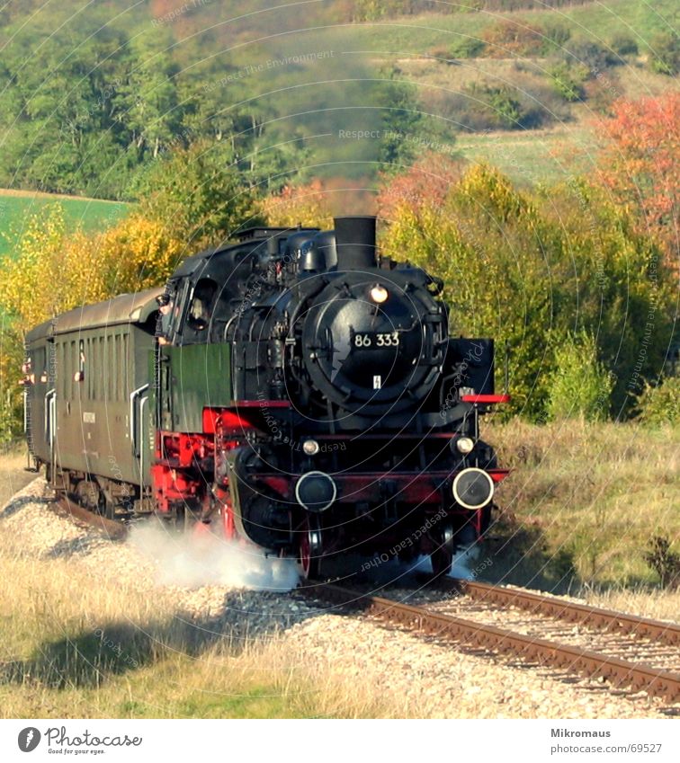 steam locomotive Steamlocomotive Railroad Engines Smoke Valley Railroad tracks Idyll Vacation & Travel Driving Line Multicoloured Autumn Nature