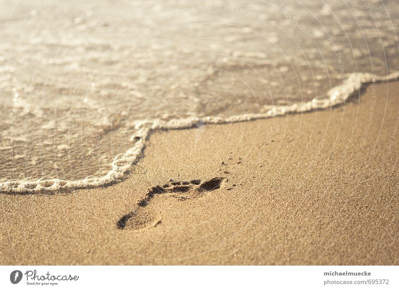 Beach footprint Harmonious Calm Vacation & Travel Freedom Summer Ocean Nature Sand Water Footprint Bright Yellow Gold Moody Living thing cheerful colourfulness