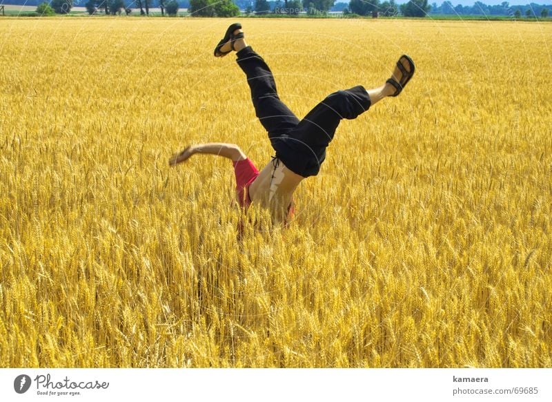 cornfreeze Field Handstand Breakdance Cornfield Joie de vivre (Vitality) Flexible Life Grain Speed breaking fun Athletic
