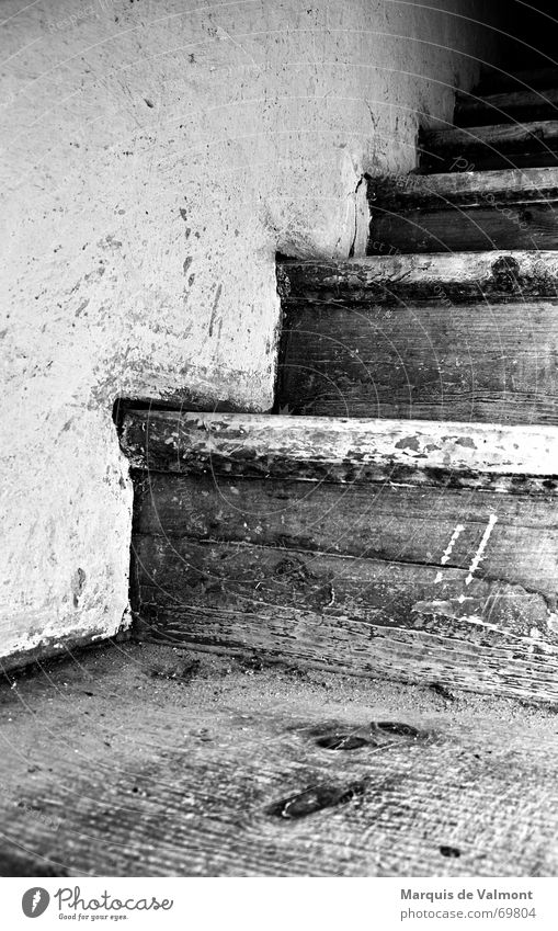 tower staircase Footstep Dirty Wood Wall (building) Plaster Lime White Black Steep Dark Light Stairs Ladder bridge boards Old Wooden board Tower Lanes & trails