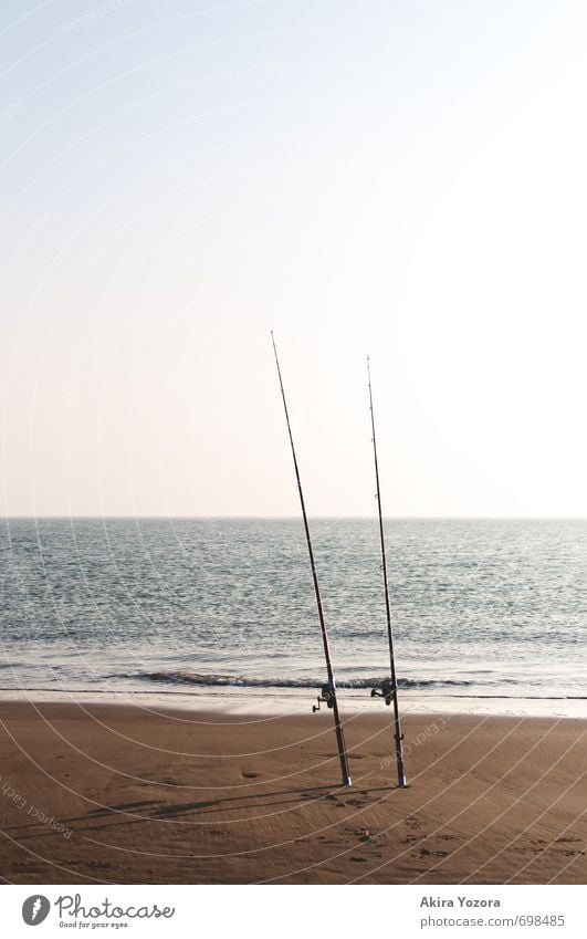 Fishing at the sea Leisure and hobbies Fishing (Angle) Landscape Sand Water Sky Horizon Waves Coast North Sea Ocean Relaxation Wait Wet Blue Brown Turquoise