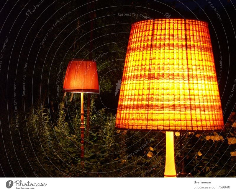 The LIGHTS Lamp Light Red Night Lampshade Lamp stand Standard lamp Cloth Dark Physics Cozy Yellow Green 2 Old Orange metal stand Warmth Plant overgrown