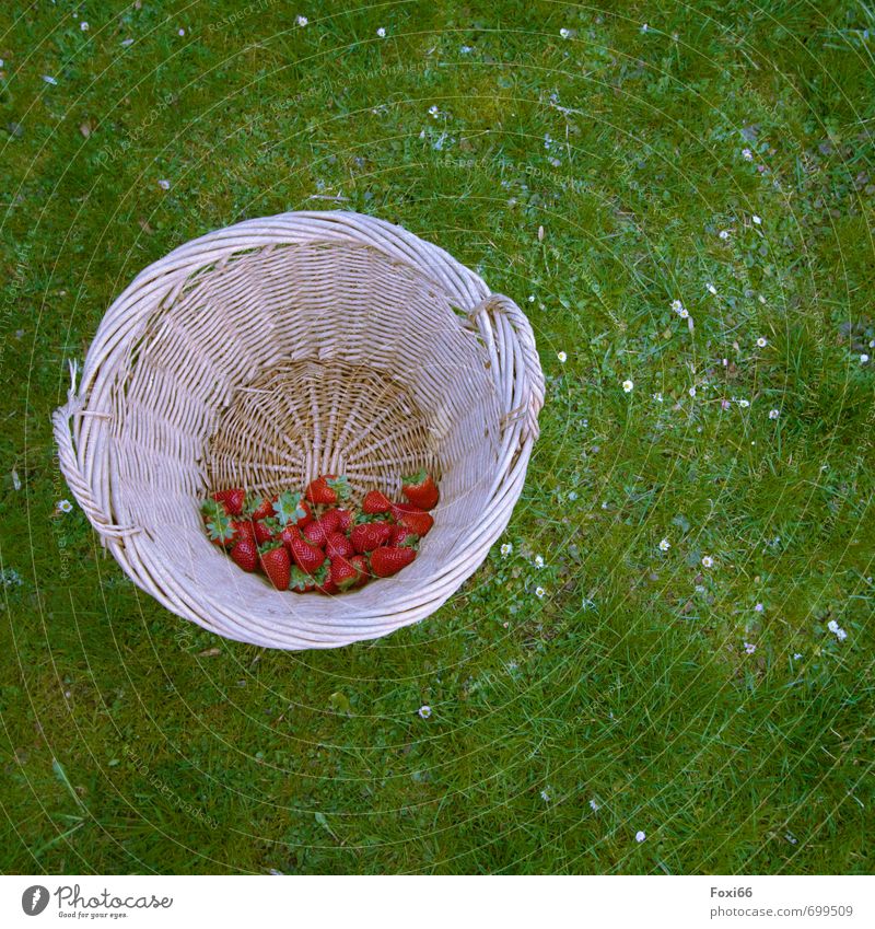 exquisite fruits Fruit Strawberry Organic produce Vegetarian diet Diet Finger food Spring Flower Grass Wicker basket Basket Plaited Fresh Healthy Juicy Green