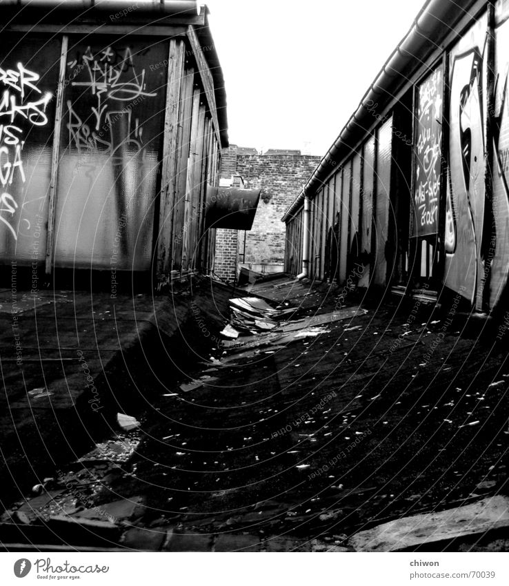 Roof top Black White House (Residential Structure) Vanishing point Wall (barrier) Leipzig Plagwitz Sky Graffiti Glass Window pane Old Rust rancid