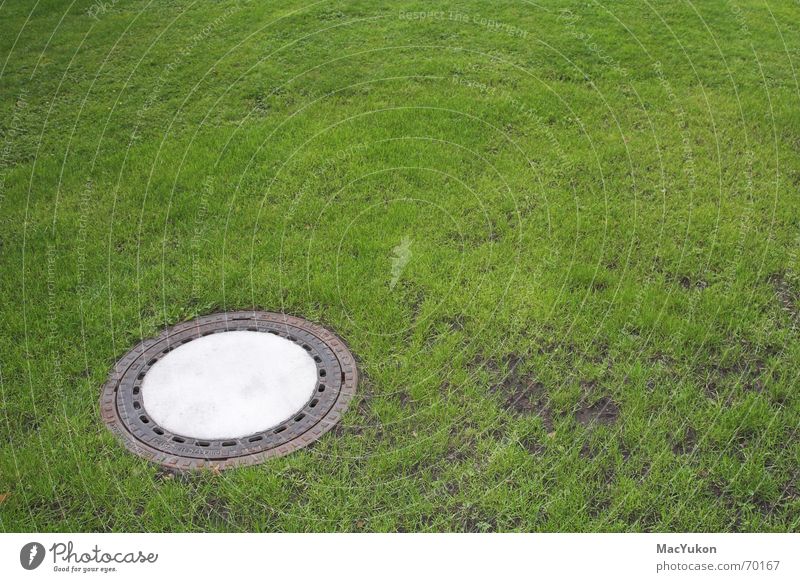 Gulli in the green Gully Green Park Effluent Drainage system Grass Meadow Lawn Floor covering Rain Water