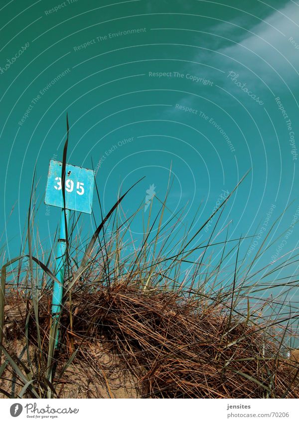 just a little heat Ocean Grass Plant Digits and numbers Calm Summer Physics Hot Clouds Sky Blue sky Beach dune Signs and labeling Nature Sand blue sign 395 Rust