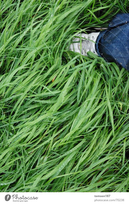 wet shoes Meadow Footwear Waves Wet Green Rain Mow the lawn