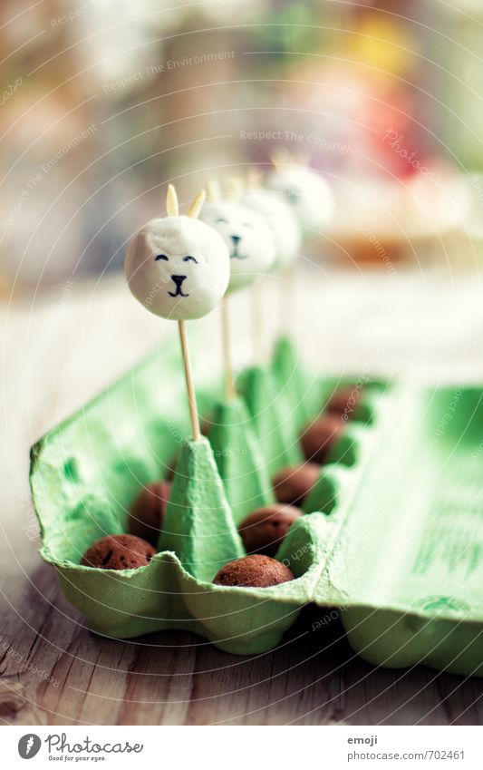 bunny cake pops Cake Candy Nutrition Picnic Slow food Finger food Delicious Sweet Easter Easter Bunny Easter egg Colour photo Interior shot Close-up Deserted