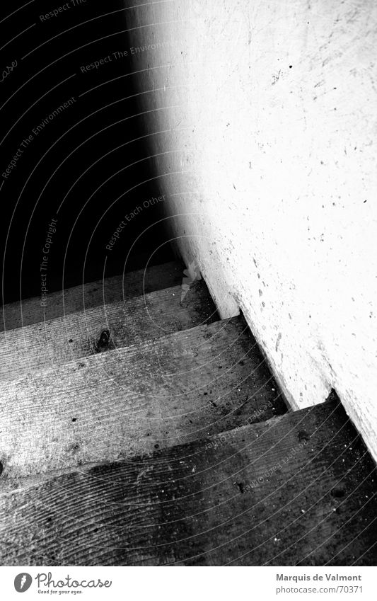 They'll come from down there... Footstep Dirty Wood Wall (building) Plaster Lime White Black Cellar Steep Downward Dark Light Mysterious Eerie Creepy Stairs