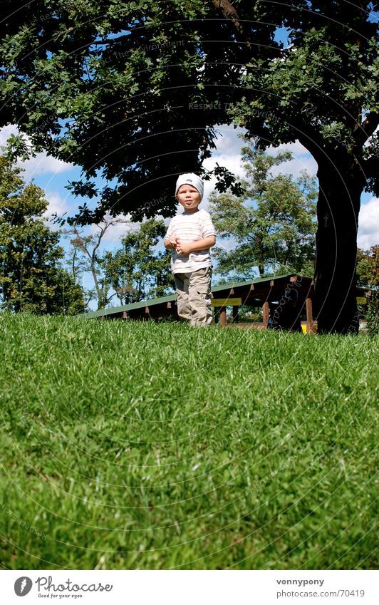 PIT Child Grass Happiness Tree Hill Exterior shot Rotate Masculine Cap Joy Mountain Upward Sky Looking Boy (child) Wait Happy Laughter