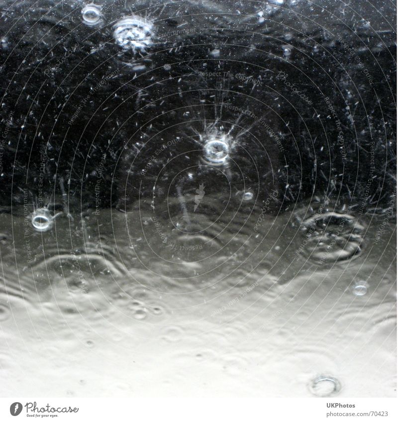 raindrop Wet Waves Background picture Rain Drops of water Weather Water Black & white photo