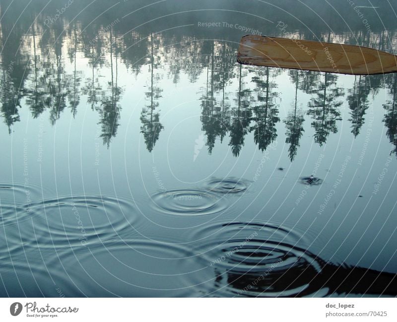 water level circles Calm Water Drops of water Tree Coast Lake Smooth Finland Paddle water circles Reflection Float in the water Surface of water