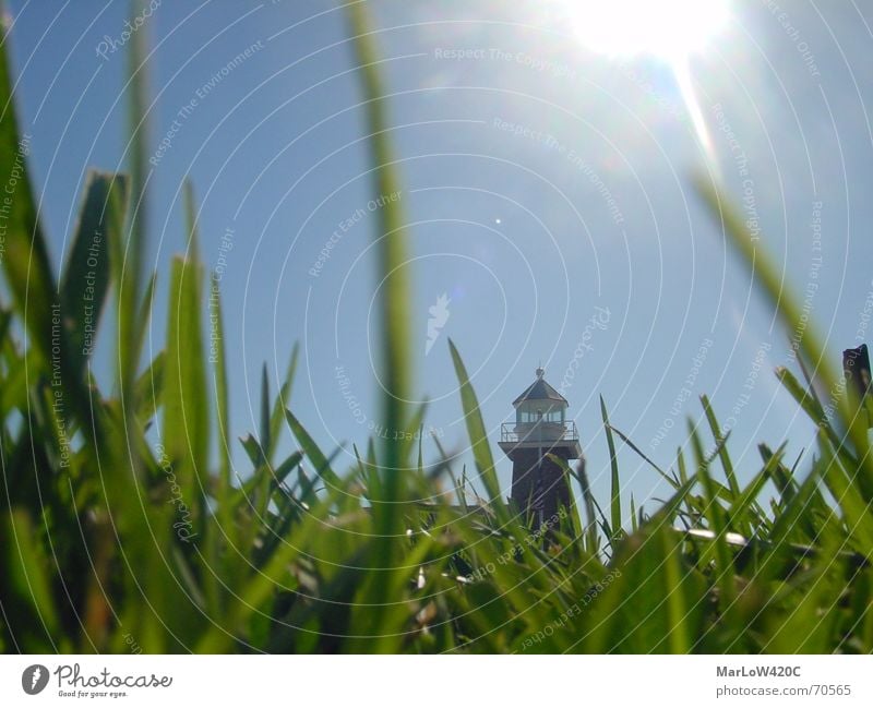 down under Grass Aperture Lighthouse Worm's-eye view Lawn Sky Sun Blue