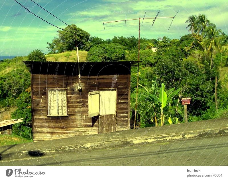 house on a slope House (Residential Structure) Slope Hill Virgin forest Tobago Electricity Broken Shack Roof Window Asphalt Green Brown Wood Iron Brick Ocean