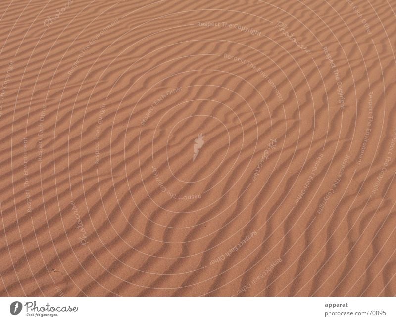 Waves in the sand Red Infertile Dry Drought Sand Hot Physics Embers Incandescent Namibia Loneliness Exterior shot Desert Empty Far-off places Warmth
