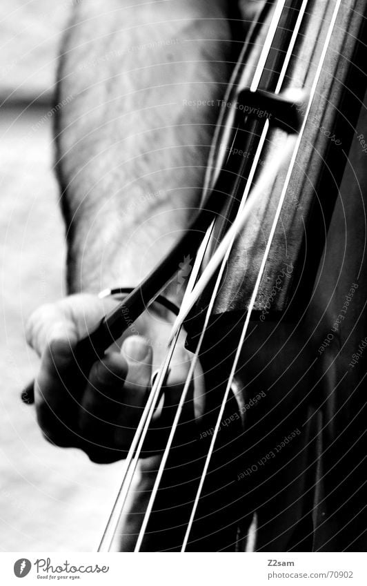 strings jump Musical instrument string Man Hand Cello Playing Fingers Double bass Arch play Black & white photo street munich
