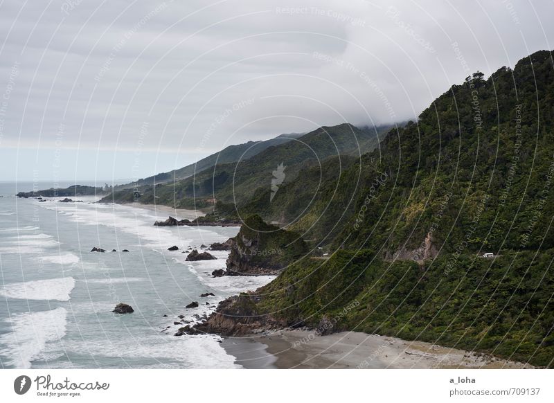 The Land Of The Long White Cloud Environment Nature Landscape Plant Elements Sand Air Water Sky Clouds Storm clouds Horizon Summer Bad weather Fog Rain Mountain