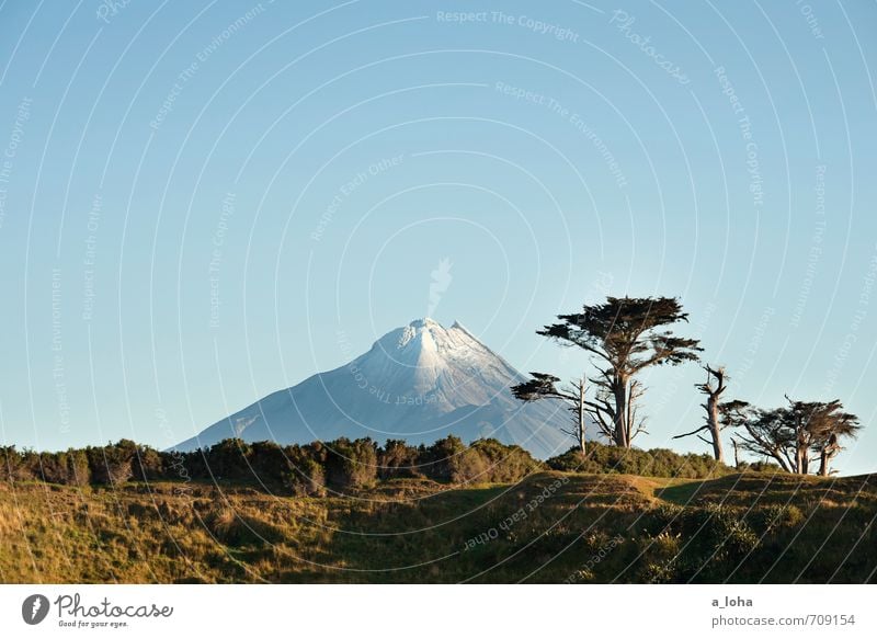 Te Maunga o Taranaki IV Environment Nature Landscape Plant Elements Cloudless sky Horizon Sunlight Summer Beautiful weather Tree Grass Bushes Mountain Peak