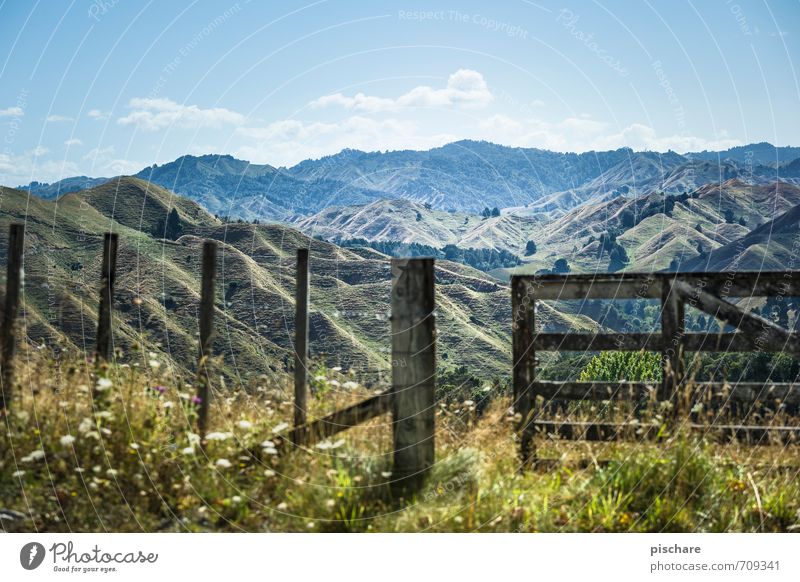 Third mountain right Nature Landscape Beautiful weather Grass Hill Mountain Adventure Vacation & Travel Fence New Zealand Colour photo Exterior shot Day