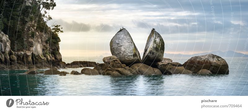 Rock Nature Landscape Water Clouds Horizon Coast Ocean Exceptional Adventure Bizarre Vacation & Travel New Zealand Split Apple Skirt Fragment Colour photo