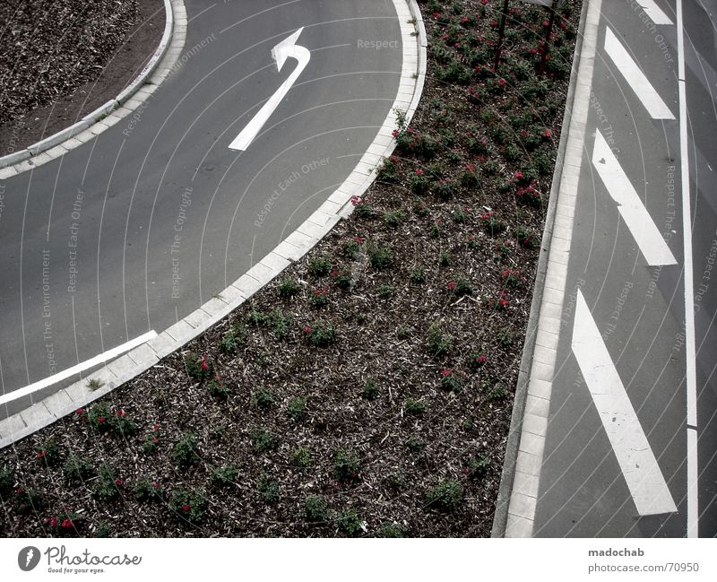 TUNE IN...| street arrows traffic marking pattern abstract Asphalt Turn off Transport Left Town Flower Nature Gray Under Pedestrian Gloomy Pattern