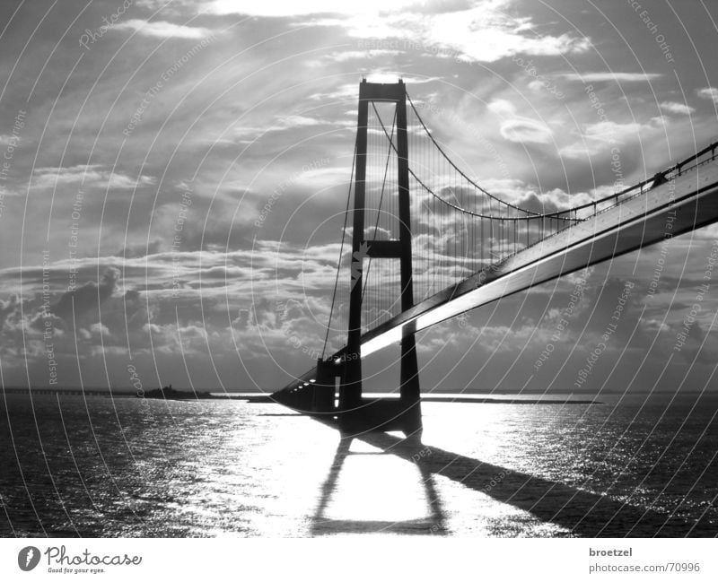 Storebaelt Ocean Water Sky Clouds Baltic Sea Bridge Architecture Driving Suspension bridge Great Belt Black & white photo Back-light