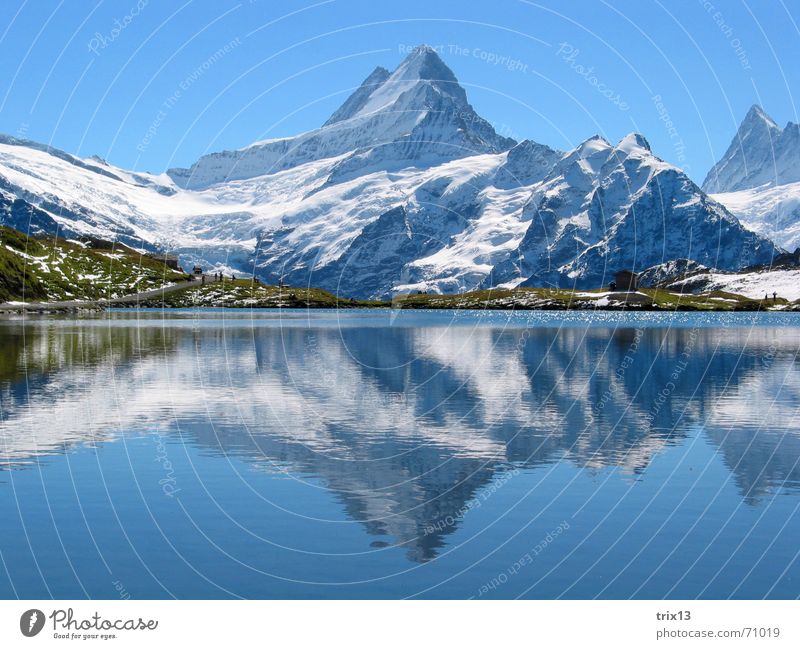 bugle Schreckhorn White Lake Reflection 2 Meadow Panorama (View) Mountain Point Snow Sky Blue Water Nature Alps Antlers Idyll double Vantage point