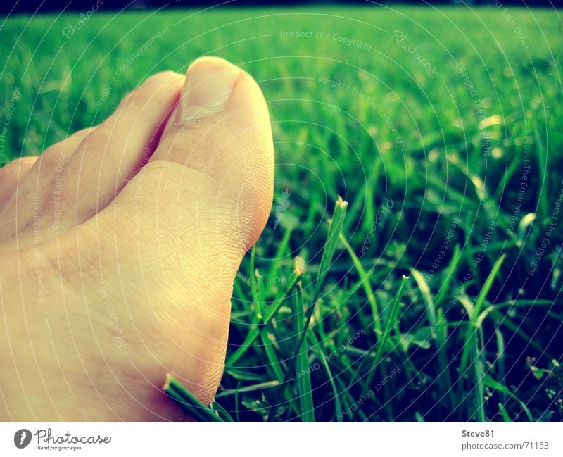 feet me Toes Meadow Green Relaxation Feet Detail Barefoot