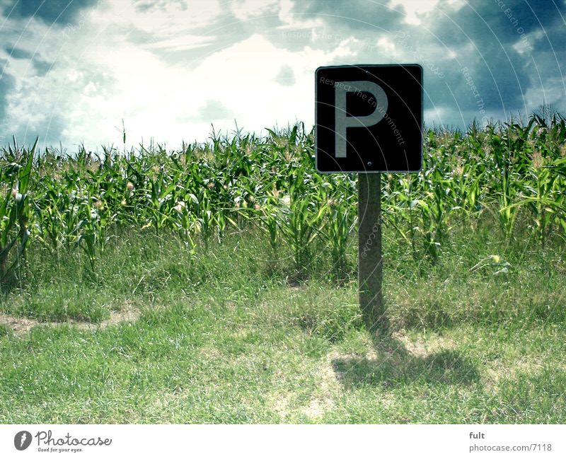 park Parking Horizon Signs and labeling Maize Sky Lawn