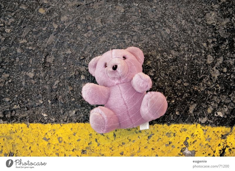 teddy bear Pink teddybear small teddybear pink bear rectangular rectangular size road road crash a pink nice teddy bear outdoor shooting