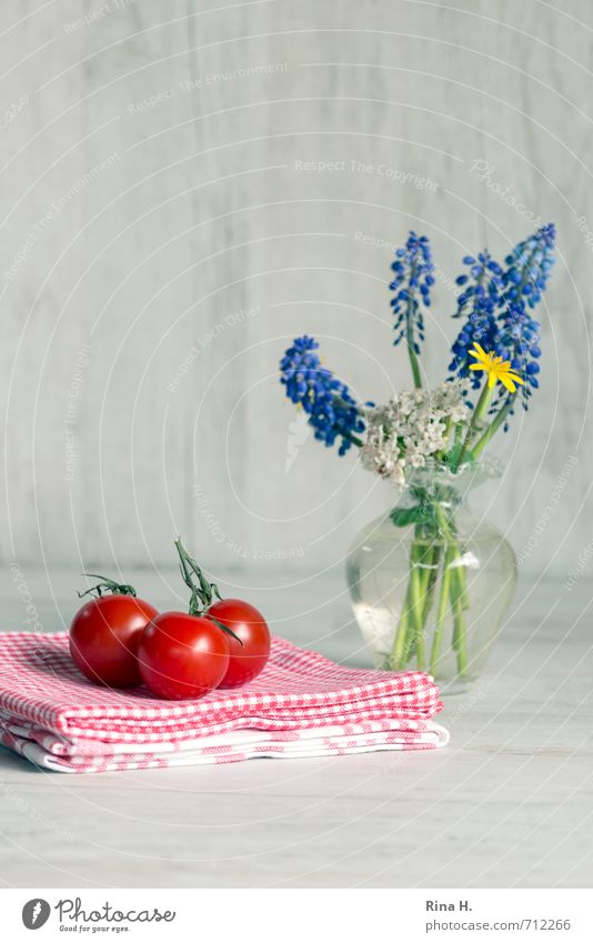 Still with tomatoes Vegetable Nutrition Vegetarian diet Spring Flower Healthy Bright Delicious Red Still Life Towel Napkin Vase Spring flower Checkered Rural