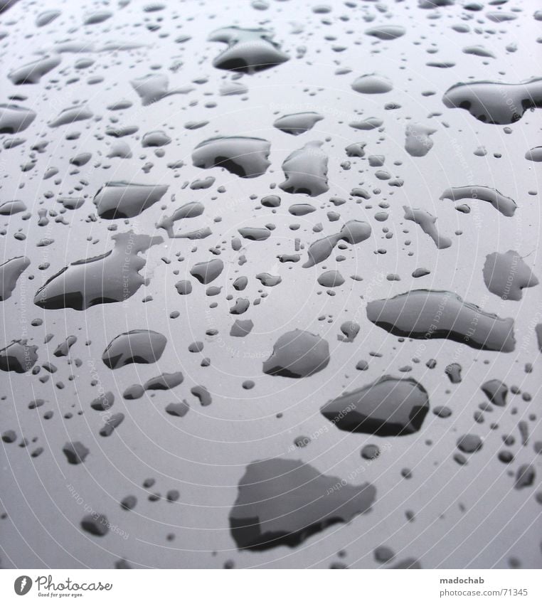 DRIP DROP | drop water reflection rain rain pattern pattern Collection Dry Wet Damp Pattern Drops of water Water Prison cell lumps horde Rain