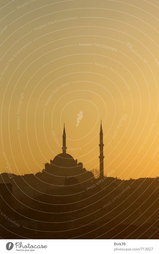 Evening light in the Orient I Cloudless sky Sunrise Sunset Spring Beautiful weather Istanbul Turkey Tower Manmade structures Architecture Mosque Minaret Baroque