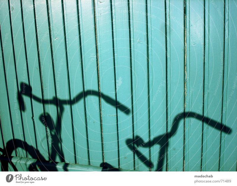 RIDE MY SHADOW | bike shadow bike shadow cyan turquoise Bicycle Driving Rent University & College student Netherlands Wall (building) Wood Graphic Mono Cyan