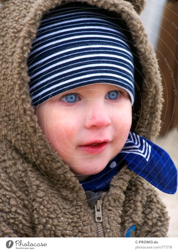 Boy with hood and cap and bright eyes Child chill Winter Autumn Neckerchief Toddler Face Marvel Boy (child) Feeble admire Plantlet Nose blue eyes yeux bleus