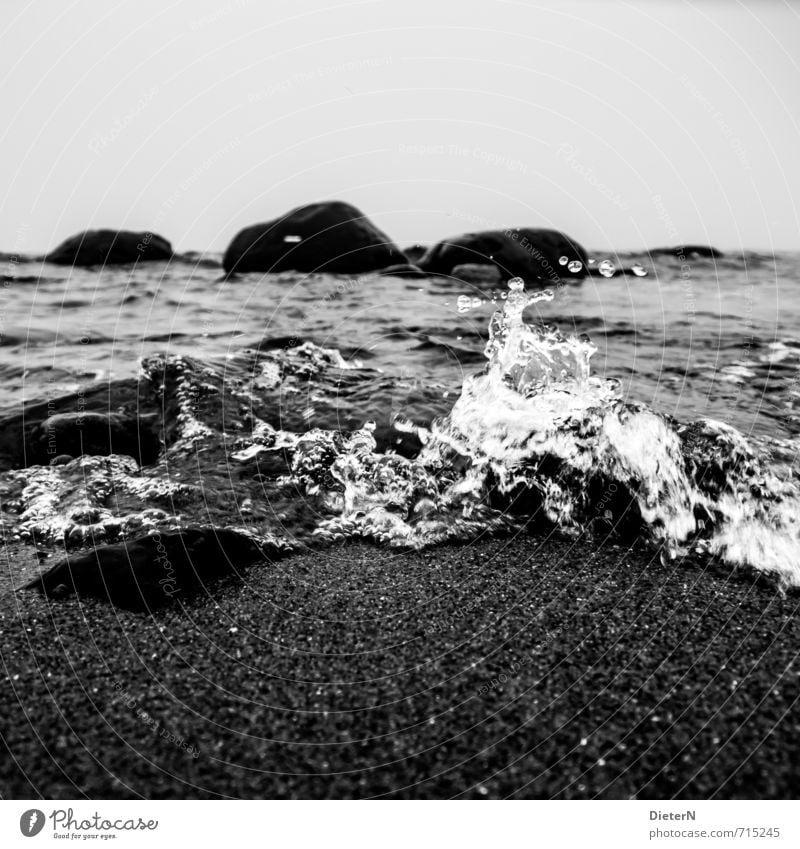 dripping wet Landscape Earth Water Drops of water Sky Cloudless sky Coast Beach Baltic Sea Wet Gray Black White Waves Stone Black & white photo Deserted