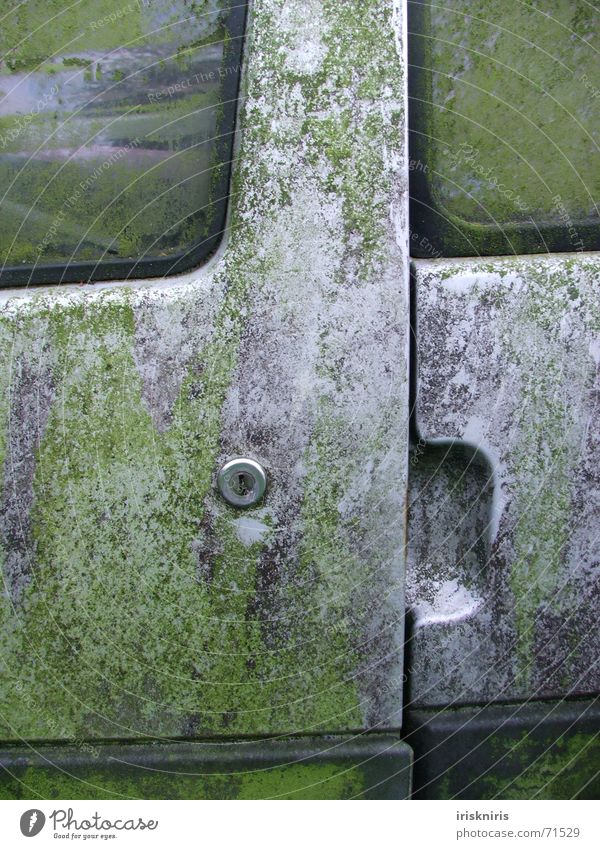 moss car Gray Green Window Car body Keyhole Car door Door handle Scrap metal Cleaning Silver Detail Dirty