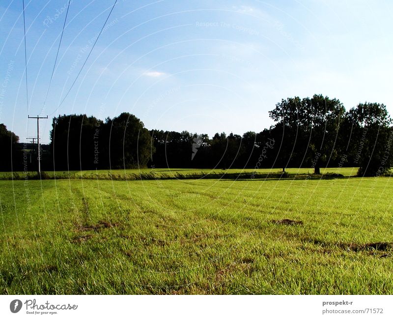 Blue-Dark-Green Meadow Tree Electricity Cable Panorama (View) Sky Dusk Large