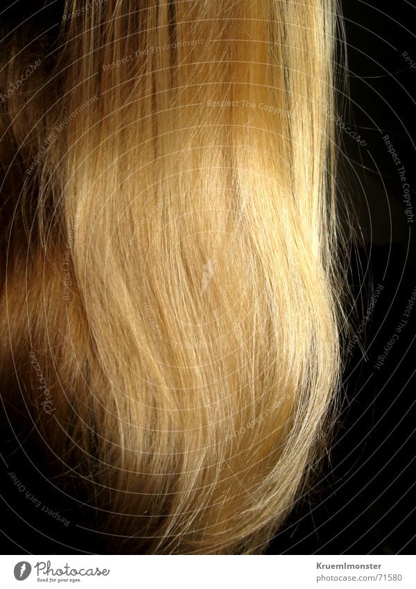 Rapunzel, let your hair down^^ Blonde Long Waves Undulating Glittering Hair and hairstyles Lamb's lettuce Smoothness