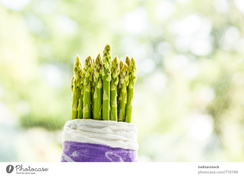 Fresh asparagus Food Vegetable Asparagus Vegetarian diet Diet Healthy Eating Authentic Natural green ingredient raw bundle bunch Background picture fresh