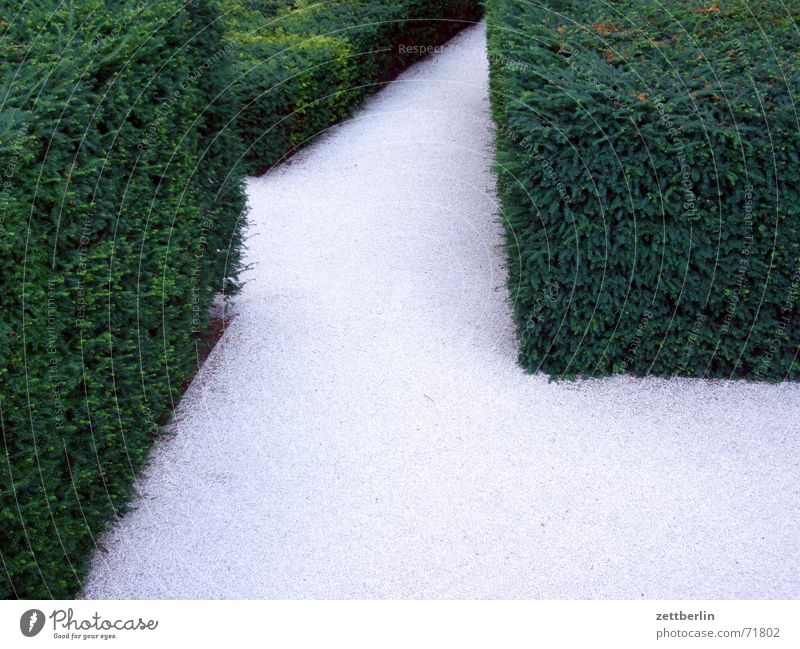 Horticulture 1 Gravel Hedge Seat of government Green Gray White Maze Aberration Exit route Way out Entrance Garden Sleeping Beauty paul lobe Interior courtyard