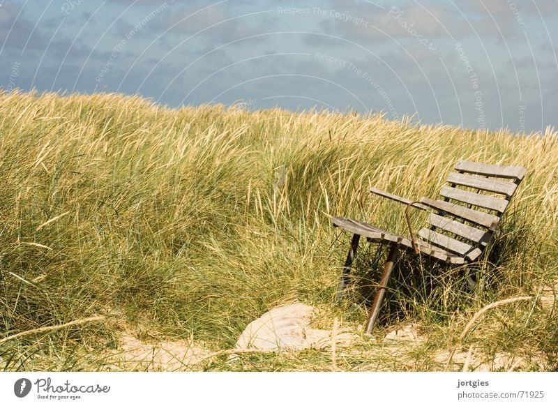 quiet place Bench Sit Beach dune Dune Ocean Grass Wind Coast Breeze Relaxation Break Calm Vacation & Travel