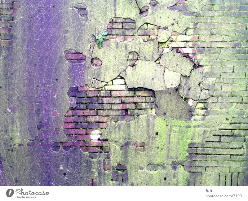 old wall Wall (building) Wall (barrier) Plaster Structures and shapes Green Violet Architecture Hollow Stone