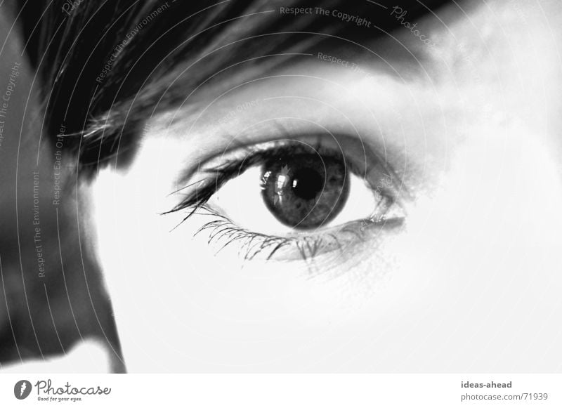 Take a look °° BW Eyelash Pupil Desire Black White Gray scale value Eye-catcher Woman Young woman Require Watchfulness Eyes Looking Face eye Perspective Lady