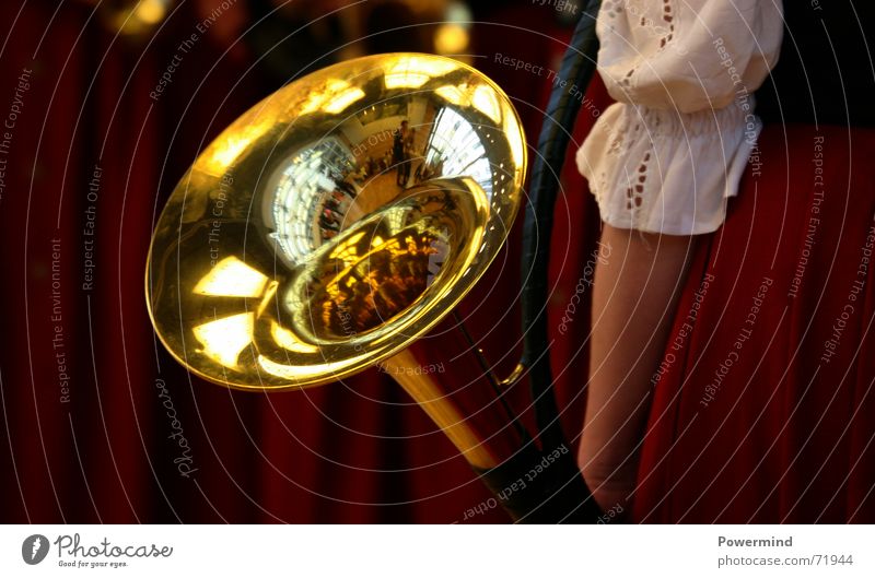 Marching bubbles Musical instrument Blow Loud Brass Flash Glittering Brass band Antlers Bleak Musician parforcem E flat hunting horn