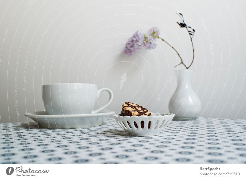 Coffee break with lilac Hot drink Hot Chocolate Tea Living or residing Interior design Decoration Table Esthetic Beautiful Retro Round Clean Gray White