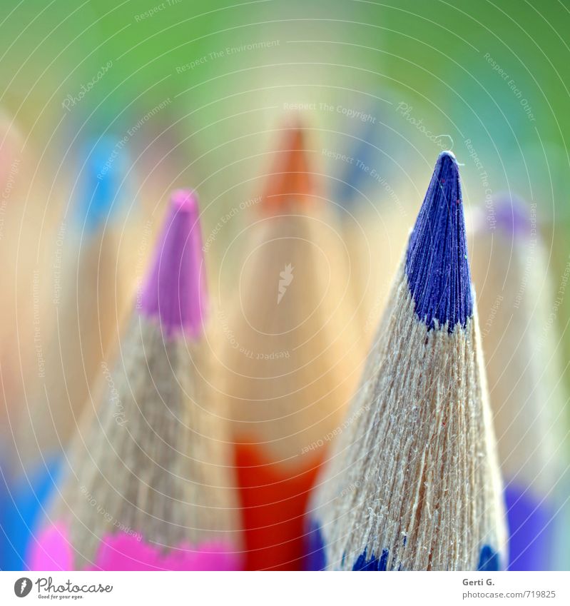 ace Crayon Pen Detail Macro (Extreme close-up) Multicoloured Blue Pink Shallow depth of field Copy Space left Copy Space top Point heads Wood wooden pens