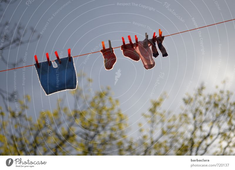 Dryness | on washing day Nature Air Sky Clouds Spring Weather Tree Bushes Blossom Garden Park Stockings baby clothes Laundry Clothes peg Clothesline Hang Fresh