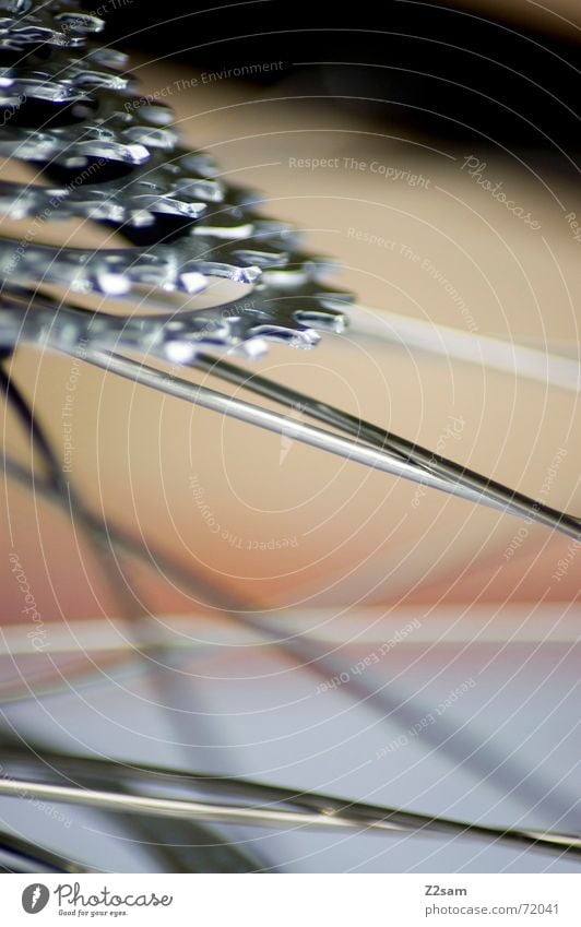 spokes impressions I Bicycle Wreath Macro (Extreme close-up) Yellow Pattern Glittering Soft Blur Spokes Orange Line flattened Net Silver Gearwheel